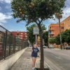 Spanien